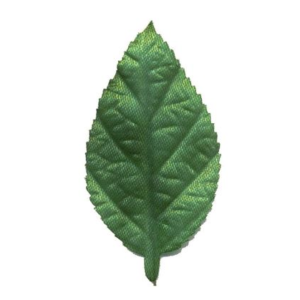 Folhas de Cetim Engomado Verde - Modelos Diversos