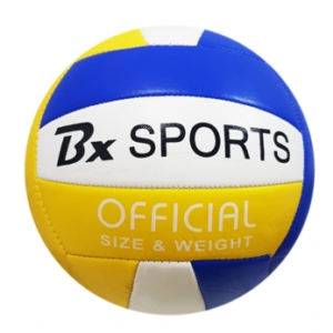 Bola Vôlei